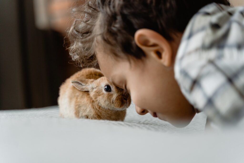 A Kid Leaning his Head on a Rabbits Head