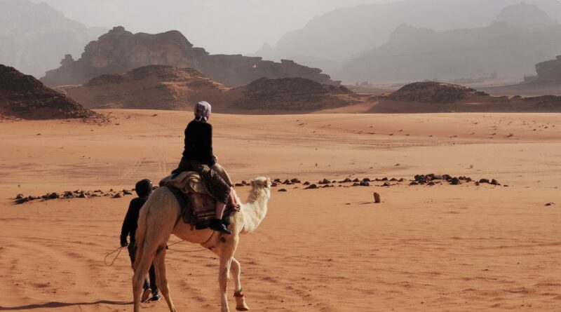 person riding on white camel near mountain